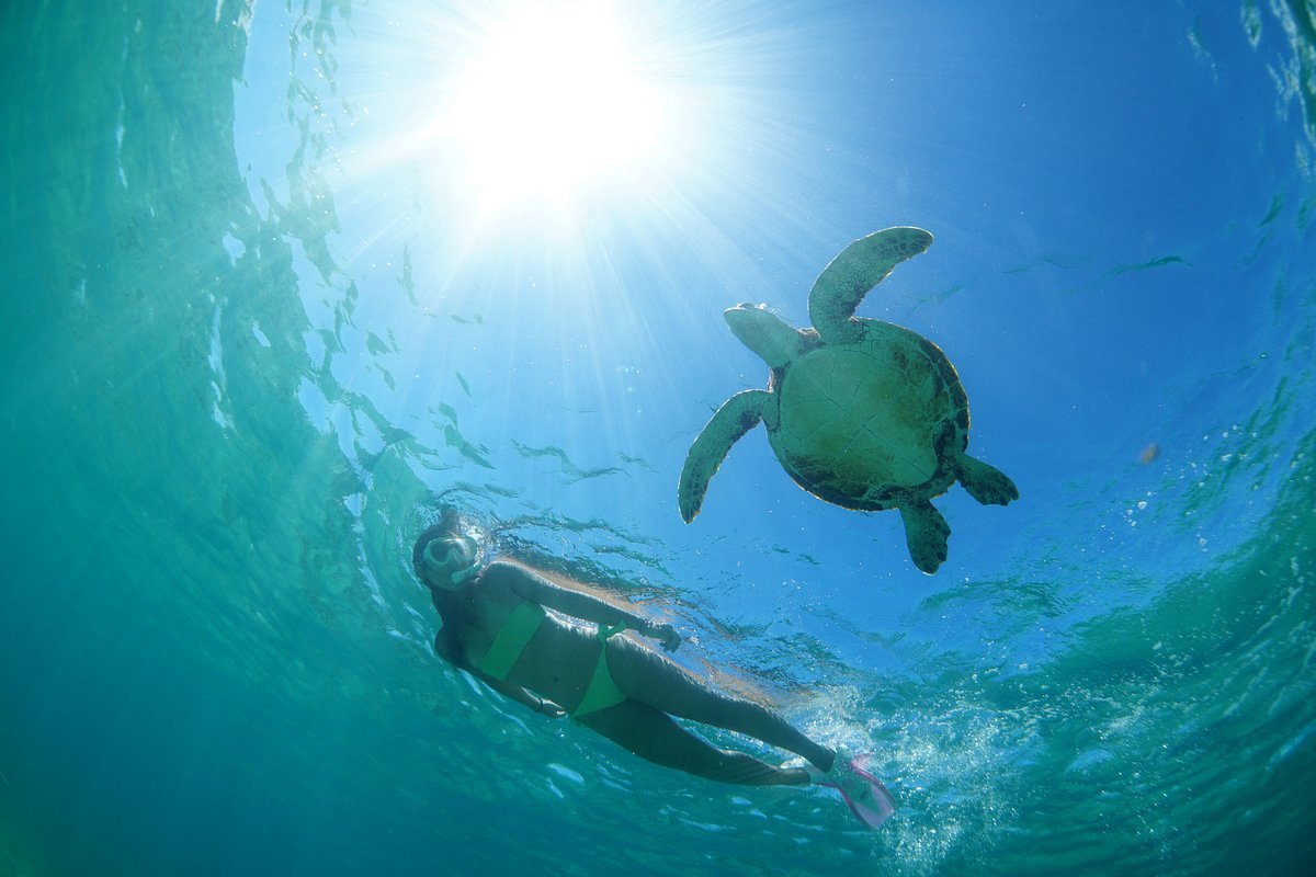 🏖️ 시기라 해변 (シギラビーチ) 이미지 7
